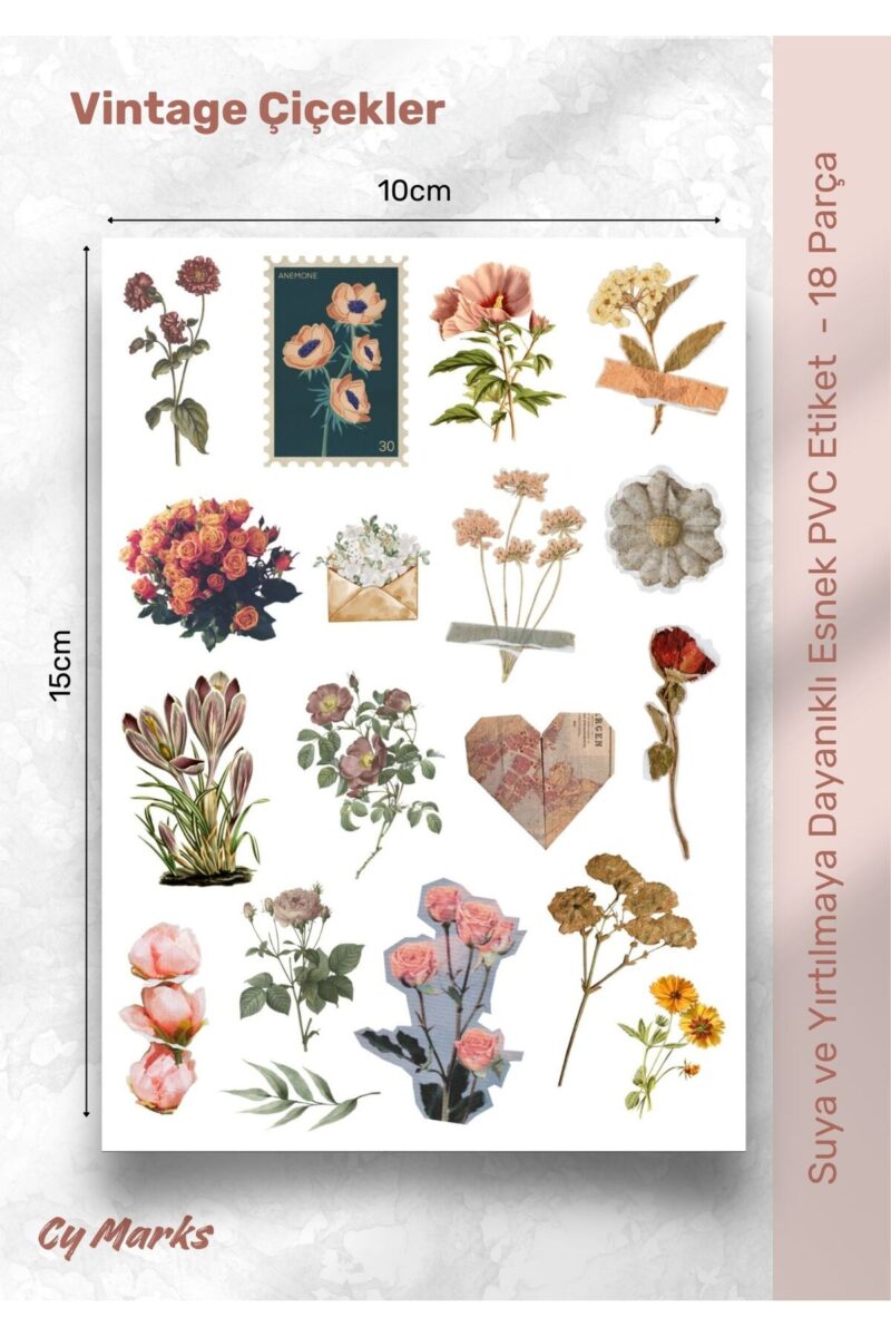 Vintage Sticker Etiket Seti 18 Parça - Planner, Ajanda, Laptop, Telefon, Bullet Journal Etiketi
